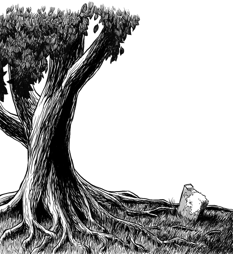Illustration for article titled Marvel At The Artwork Of Patrick Rothfuss' Slow Regard Of Silent Things